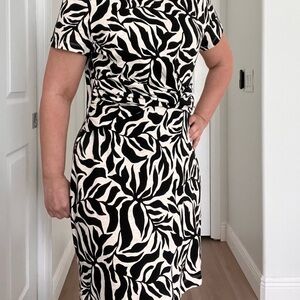 LOFT Zebra Print Midi Dress in Black and Cream